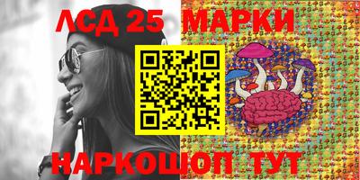 стаф Краснодар